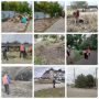 Покос травы, уборка бросового мусора, прибордюрной части дороги и приконтейнерных территорий на ул. Казачьей, ул. Нижнесадовой, ул. Р.Люксембург, ул. Островского, ул. Калинина, чистка ливневой канавы на ул. Нижнесадовой /ул....