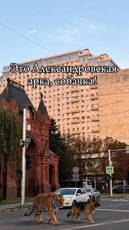 Вот такие вот дела, собачка