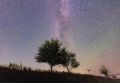 Овны могут рассчитывать на повышение, а Тельцов ждет удача