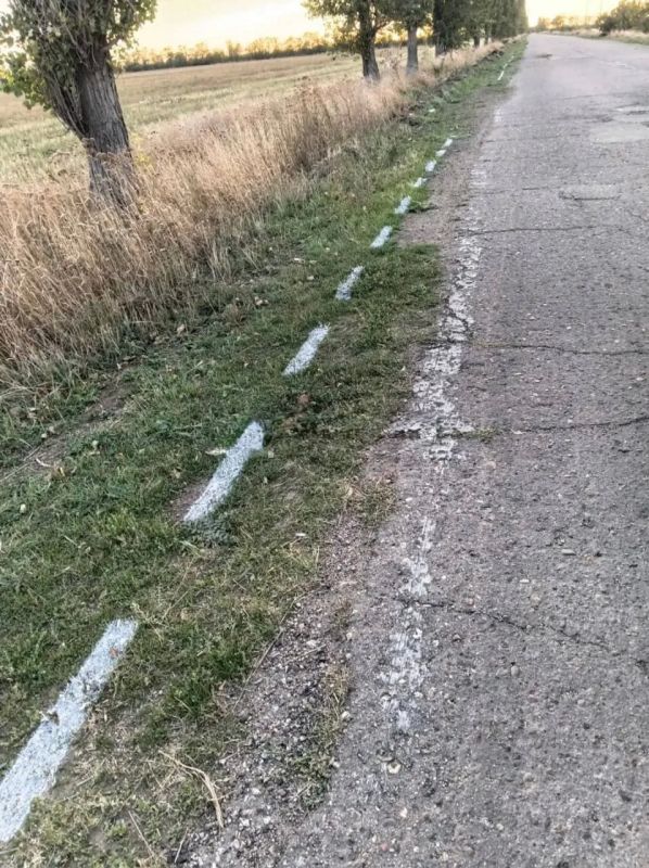 Под Ейском дорожную разметку нанесли прямо на траву