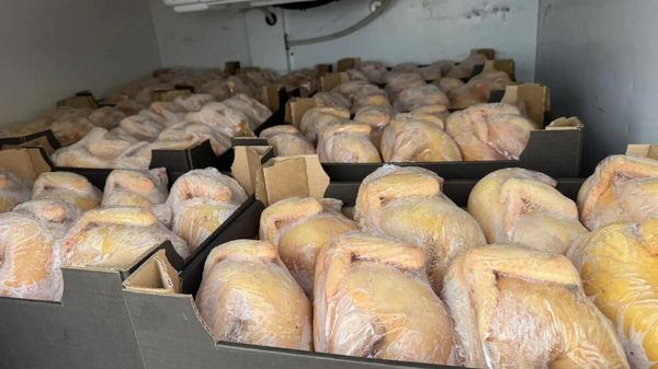 Партию курятины непонятного происхождения обнаружили на Кубани