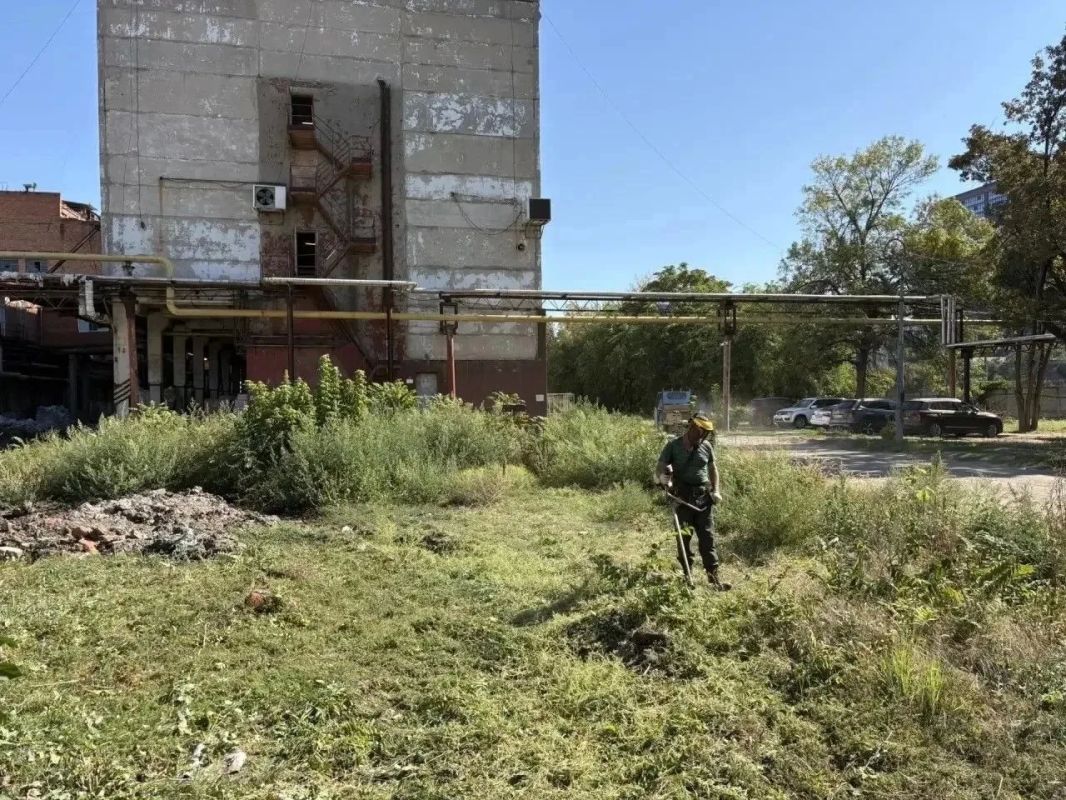 За полгода в Краснодаре скосили более 33 тысяч гектаров сорняков