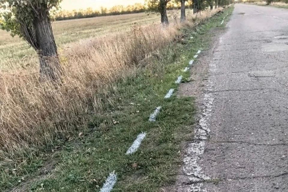 На Кубани дорожники нанесли разметку прямо на траву