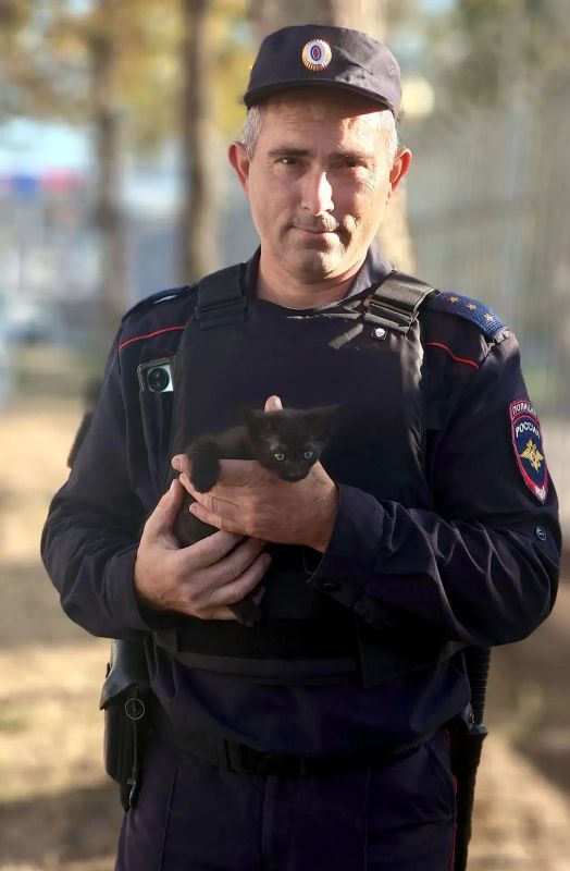Полицейский спас котёнка, теперь это его коллега