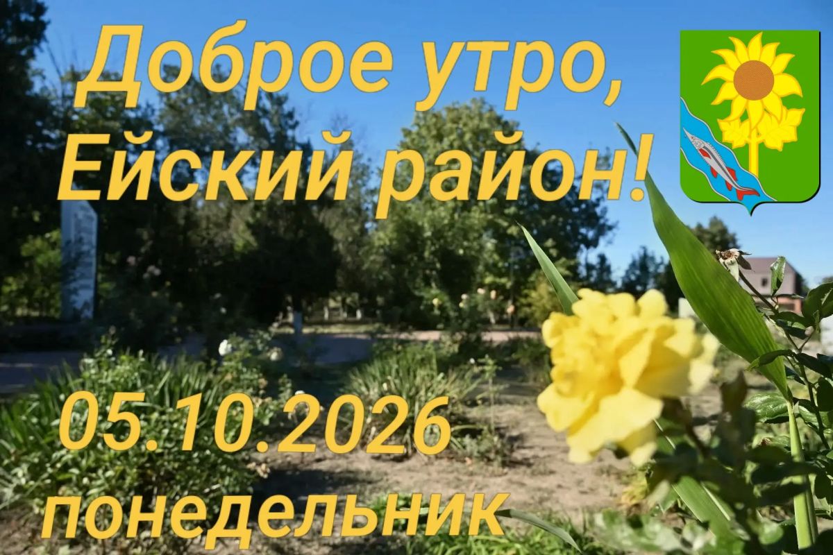 Доброе утро, коллеги, жители и гости Ейского района!
