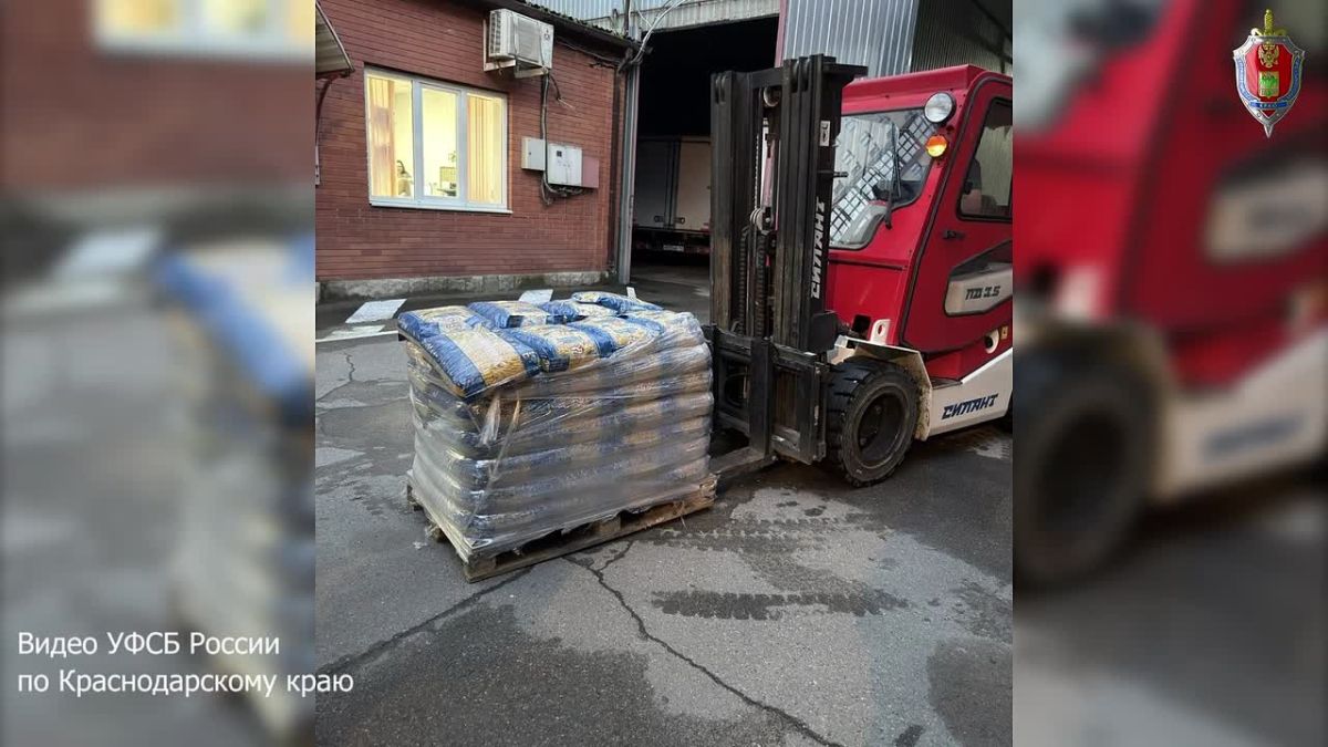 УФСБ раскрыла схему хищения продуктов, предназначенных для школ Краснодара