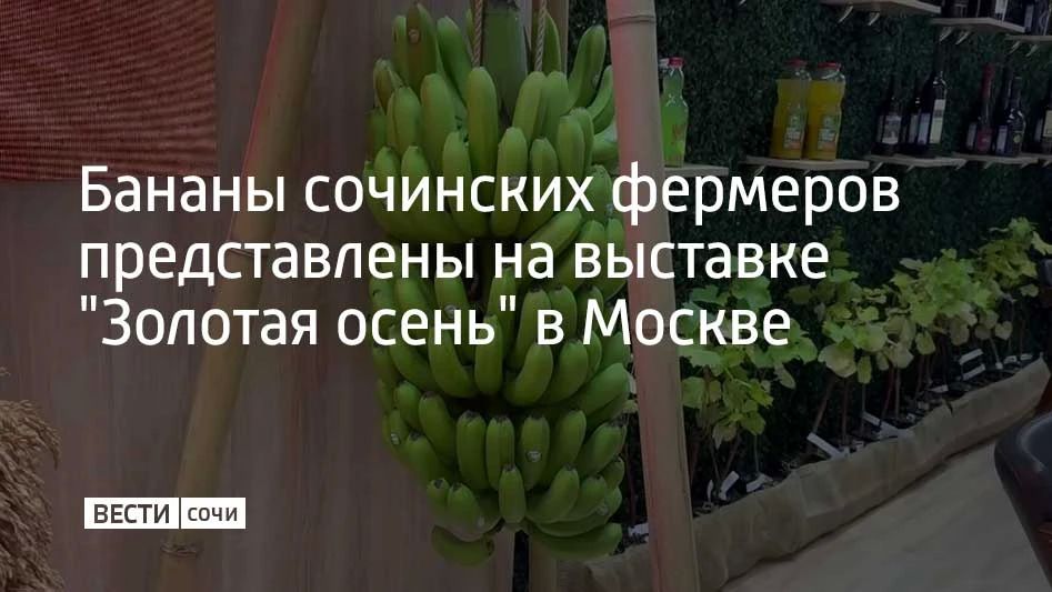 Краснодарский край участвует в главной сельскохозяйственной выставке страны "Золотая осень" в Москве
