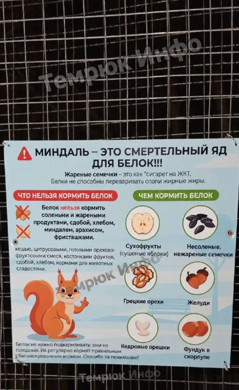 "Белки не способны переваривать спопи жирные жиры"