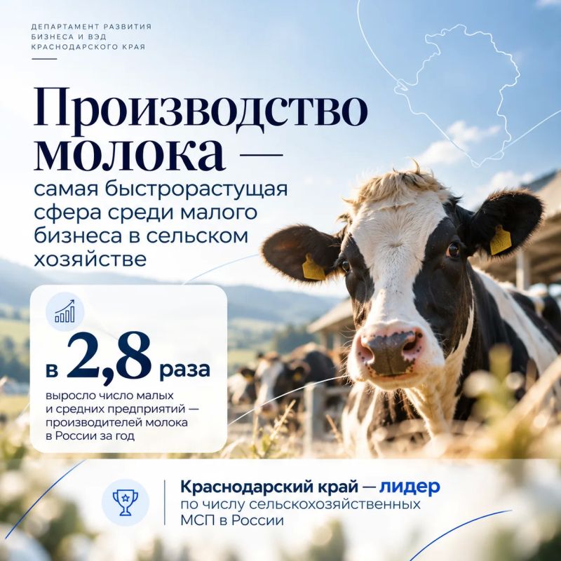 Кубань - лидер по числу сельскохозяйственных МСП в России!