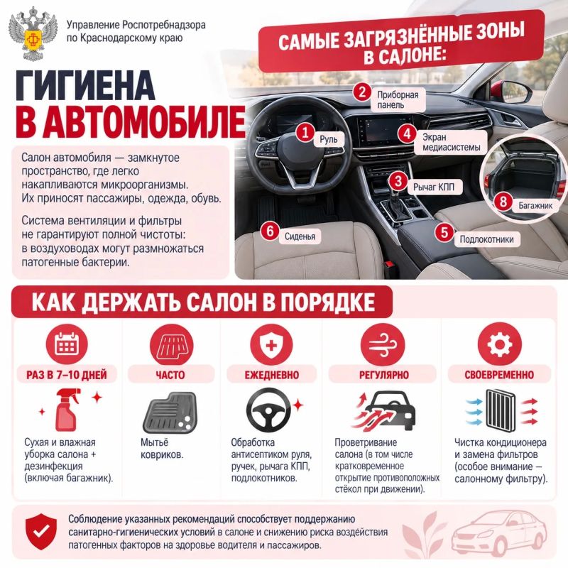 Гигиена в автомобиле. Салон автомобиля — замкнутое пространство, где легко накапливаются микроорганизмы