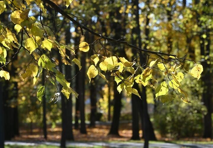 В Краснодаре разразятся грозовые дожди