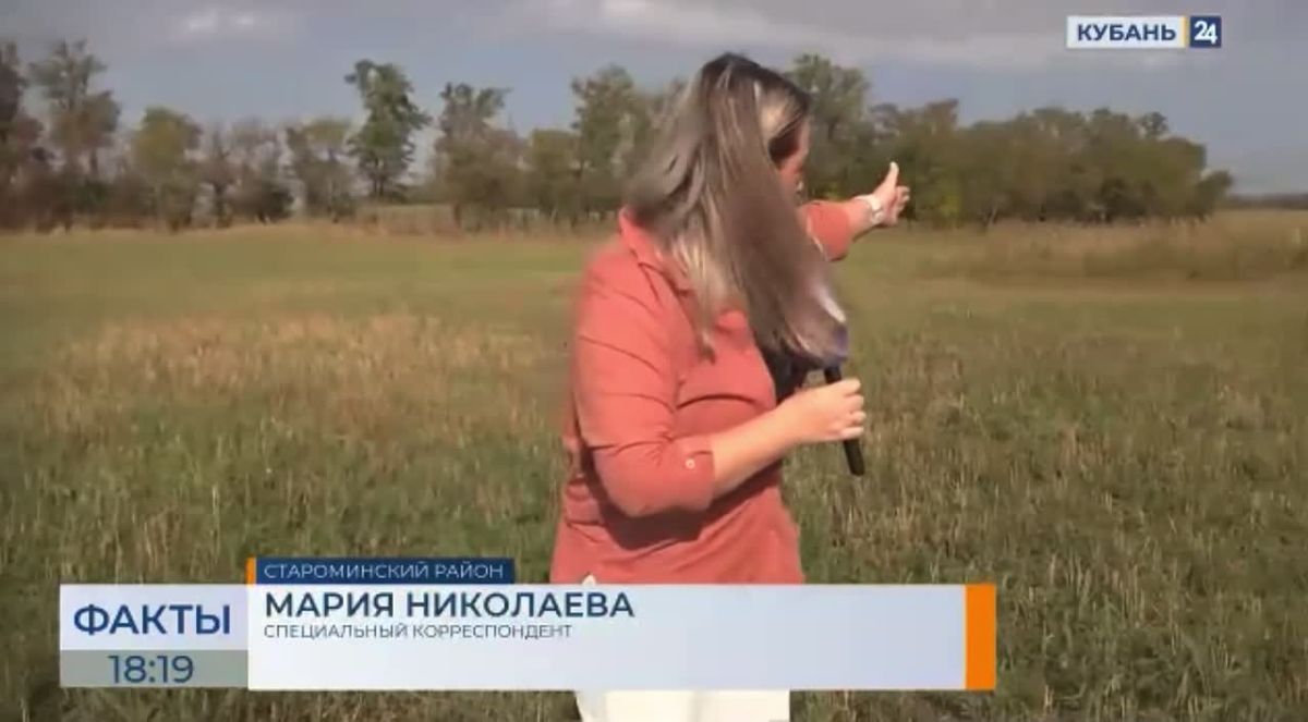 Волки отобедали на 120 тысяч рублей
