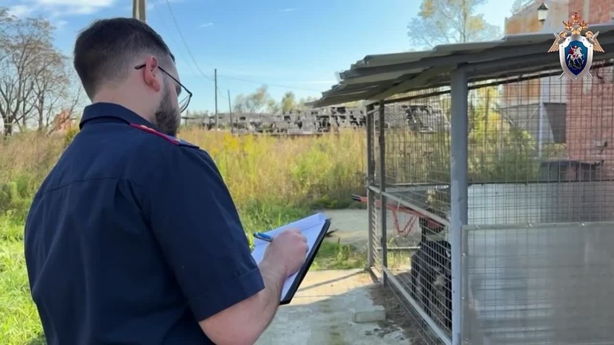 В Краснодарском крае сторожевые собаки напали на 12-летнего мальчика, пришедшего с другом рыбачить на частные пруды