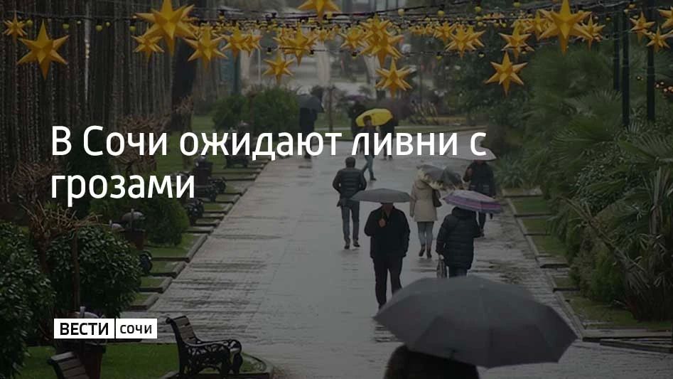 С вечера 15 октября и до конца дня 16 октября в Сочи и Сириусе местами пройдут сильные дожди и ливни с грозами, сообщили в администрации курорта
