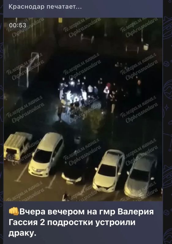 В Интернете выявлена публикация о потасовке, предположительно между подростками, во дворе многоквартирного дома на ул. Валерия Гассия