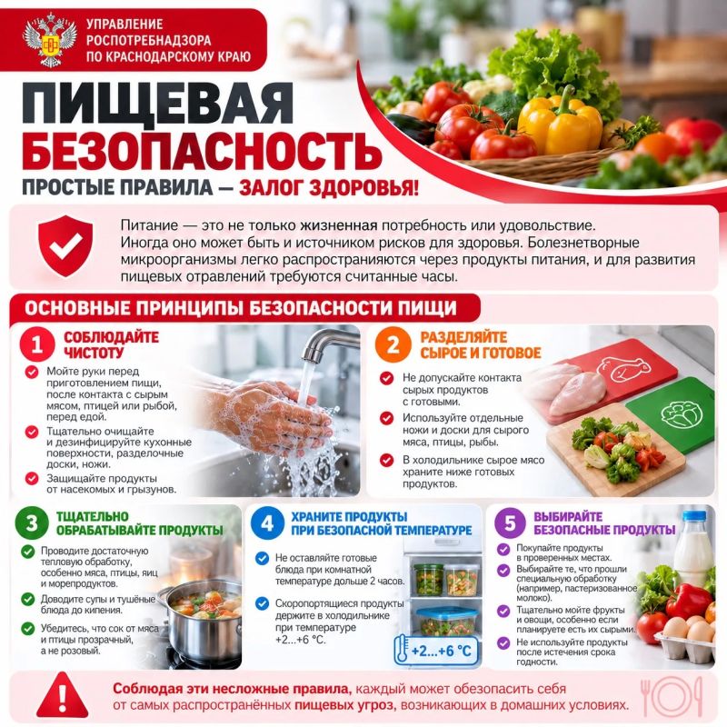 ПИЩЕВАЯ БЕЗОПАСНОСТЬ:. Питание — это не только жизненная потребность или удовольствие