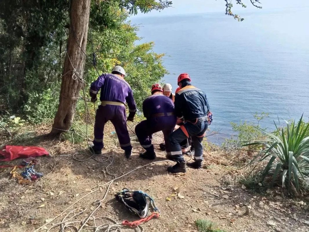 Мужчина сорвался с обрыва в Сочи и чудом зацепился за куст