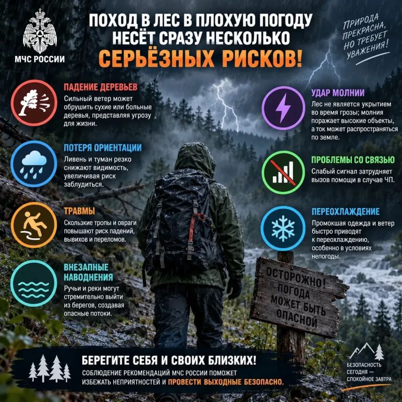 МЧС России предупреждает: почему в лес в непогоду лучше не ходить