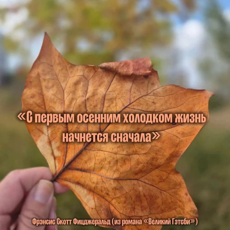 У нас в редакции максимально поэтичное настроение