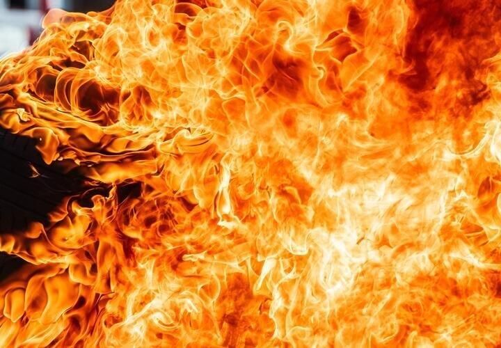 Восемь породистых собак погибли при пожаре в российском городе. Хозяйка не смогла спасти всех щенков из огня
