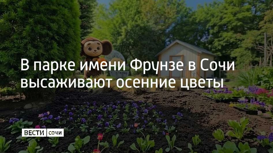 В парке имени Фрунзе Хостинского района Сочи высаживают виолы и маргаритки, сообщили в МЦУ Сочи