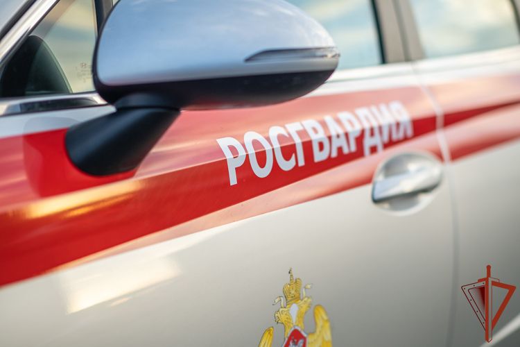 Пропавшего в Москве подростка росгвардейцы нашли в Сочи