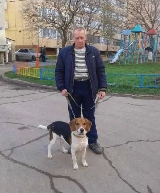 Страницу сайта премиякеосаян