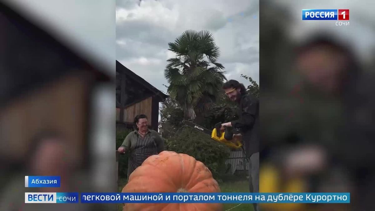 В Абхазии представили 320-килограммовую тыкву во время праздника урожая