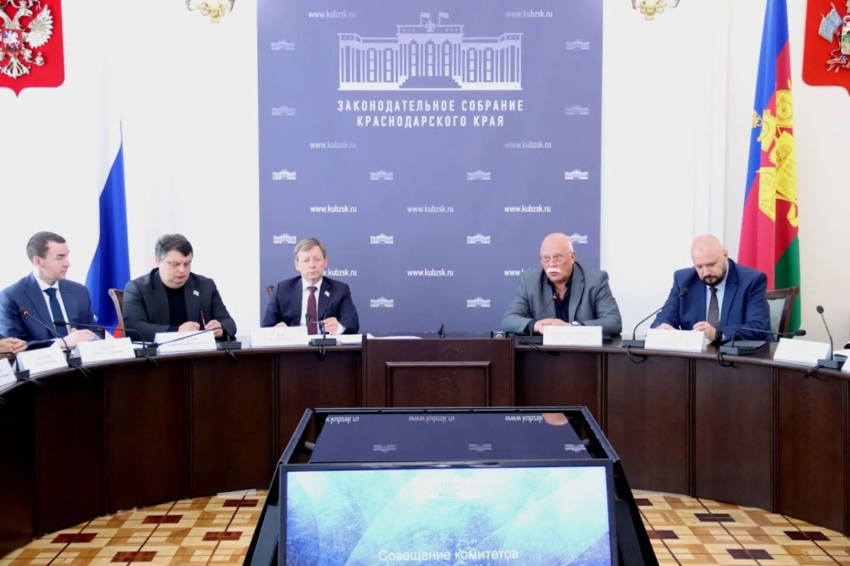 На заседании в ЗСК обозначили необходимость введения запрета на розничную продажу электронных сигарет в крае