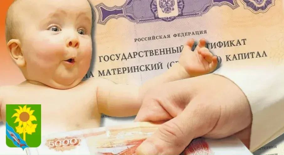 Отделение Соцфонда по Краснодарскому крае оформляет сертификат на материнский капитал сразу после получения информации о рождении ребенка из ЗАГС