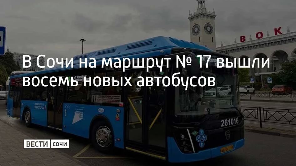 В новых сочинских автобусах есть кондиционеры, USB-разъемы, информационные медиапанели, камеры видеонаблюдения и бескондукторная система оплаты проезда