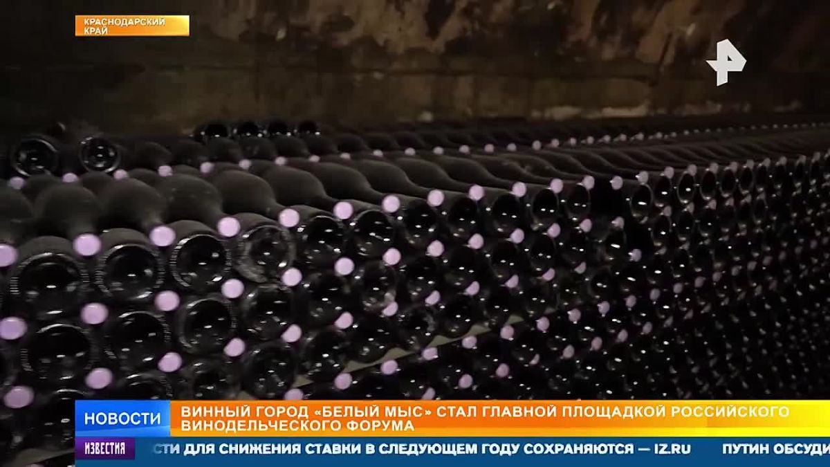 Зарубежные эксперты оценили достижения российских виноделов в Белом мысе