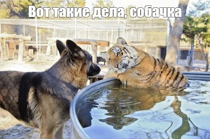 Женатые мужчины живут дольше холостых