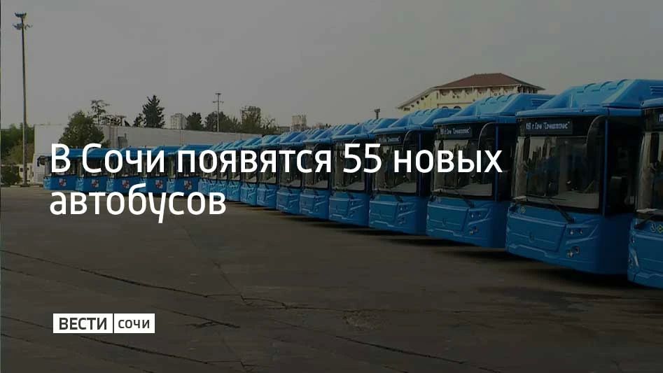 В 2027 году в Сочи продолжится обновление автопарка – муниципалитет направил заявку на приобретение еще 55 автобусов, сообщили в администрации курорта
