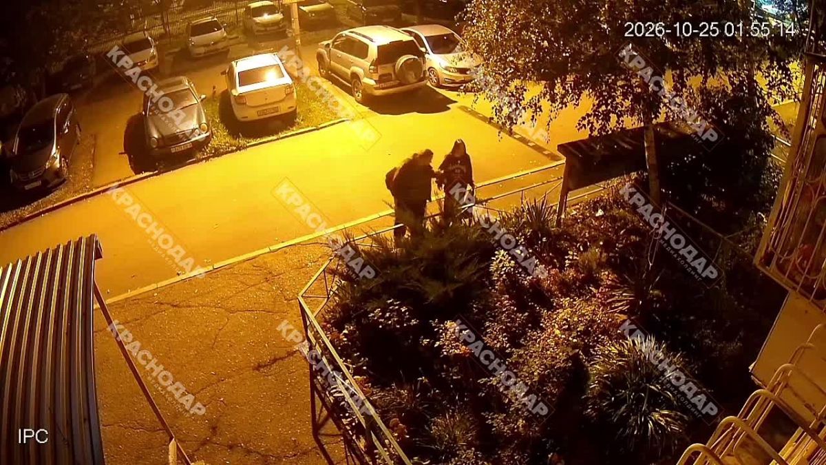 В Комсомольском микрорайоне неизвестные воруют растения из дворов по ночам