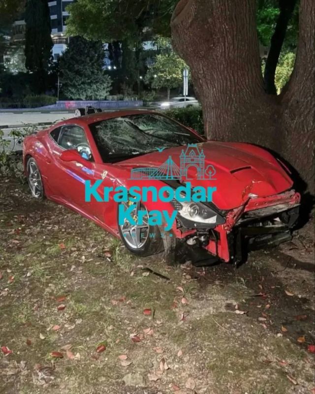 Водитель Ferrari за 10 млн рублей решил припарковаться прямо в сочинских кустах