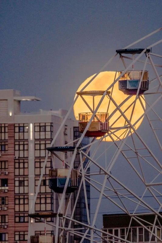 Огромный диск Луны охотника завис в небе: Кубанский фотограф снял впечатляющее полнолуние