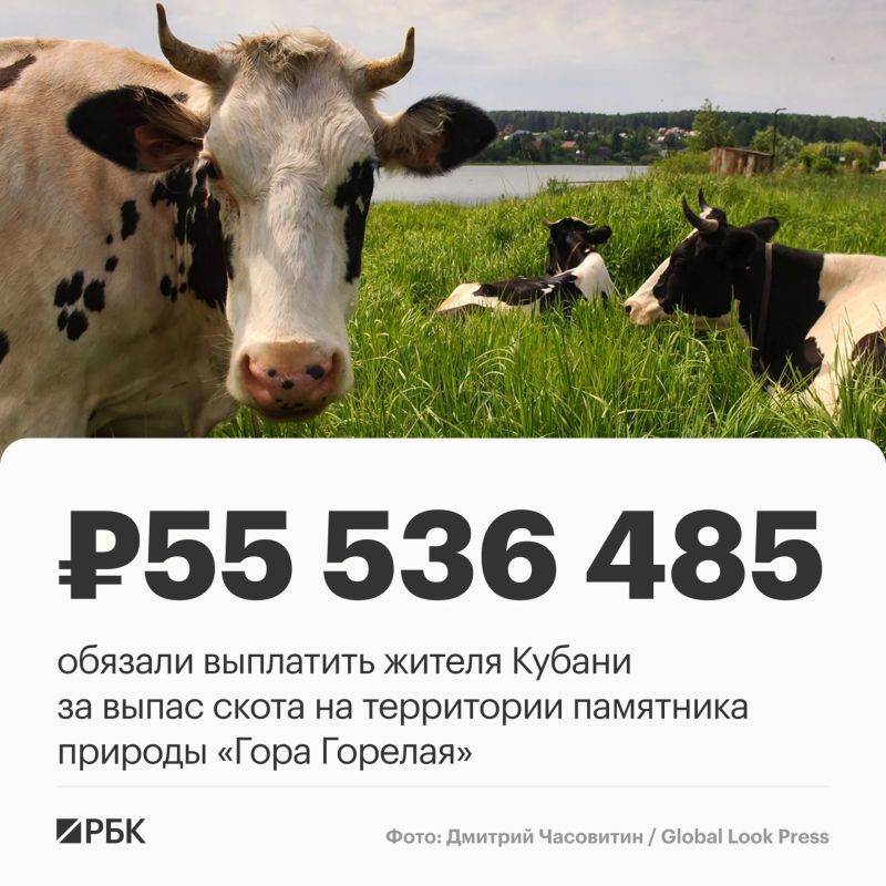 Суд обязал жителя Краснодарского края выплатить более 55,5 млн руб
