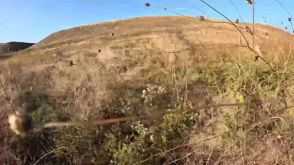 В ЗАКАЗНИК КУБАНИ ОТПРАВИЛИСЬ «ЕВРОПЕЙСКИЕ АРИСТОКРАТЫ» Осень в Краснодарском крае - это не только пора сбора урожая, но и время больших новоселий! Сегодня в государственном природном зоологическом заказнике «Кавказский»...