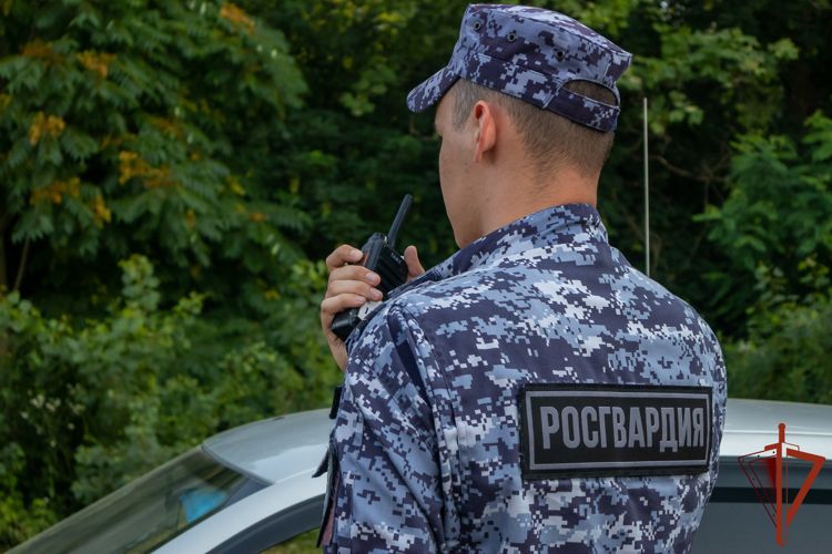 В Красноармейском районе росгвардейцы пресекли нарушение общественного порядка в кафе