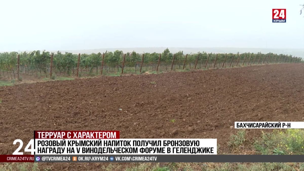 Крымские виноделы удивляют зарубежных экспертов