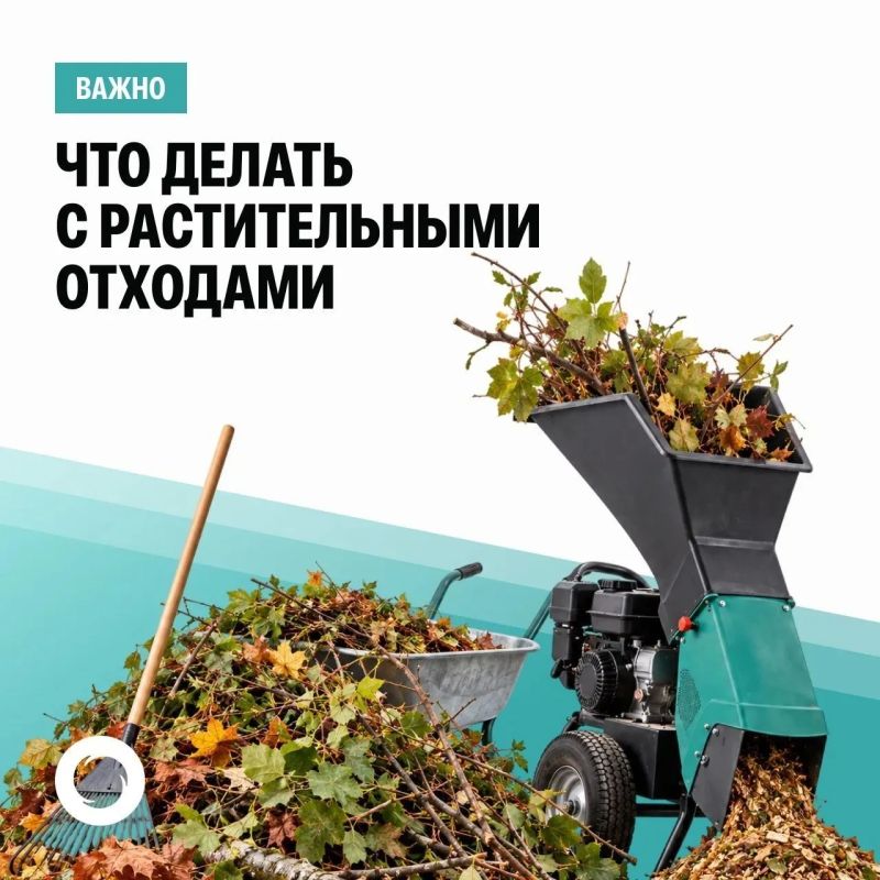 Наступило время уборки сада и придомовой территории во всех поселениях Ейского района