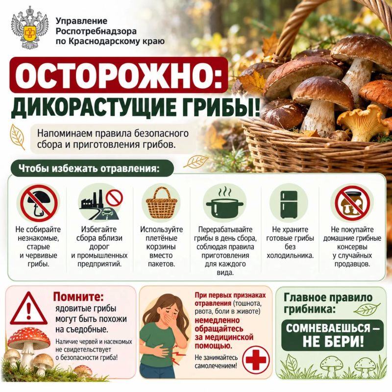 Осторожно: дикорастущие грибы!