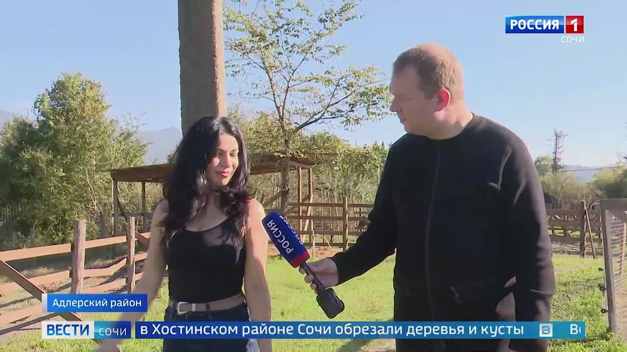 Вести Сочи 29.10.2026 09:30