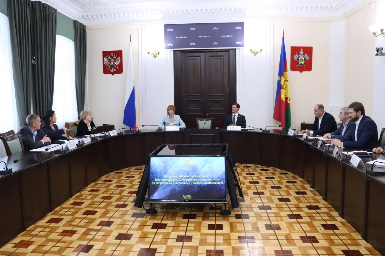 В Законодательном Собрании состоялось заседание рабочей группы комитета по вопросам имущественных и земельных отношений