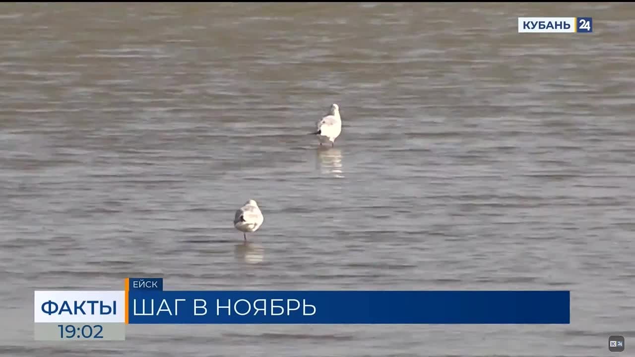 Уровень воды в Ейском лимане и Таганрогском заливе, по данным МЧС, снизился на 1 м
